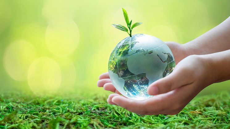 The Future is Green: Exploring Next-Gen Eco-Friendly Packaging Materials